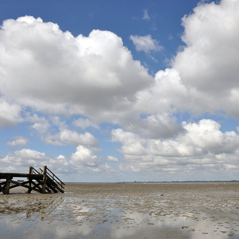 grauwert - Grau des Monats - Juni 2016