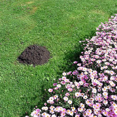 grauwert - Grau des Monats - Julo